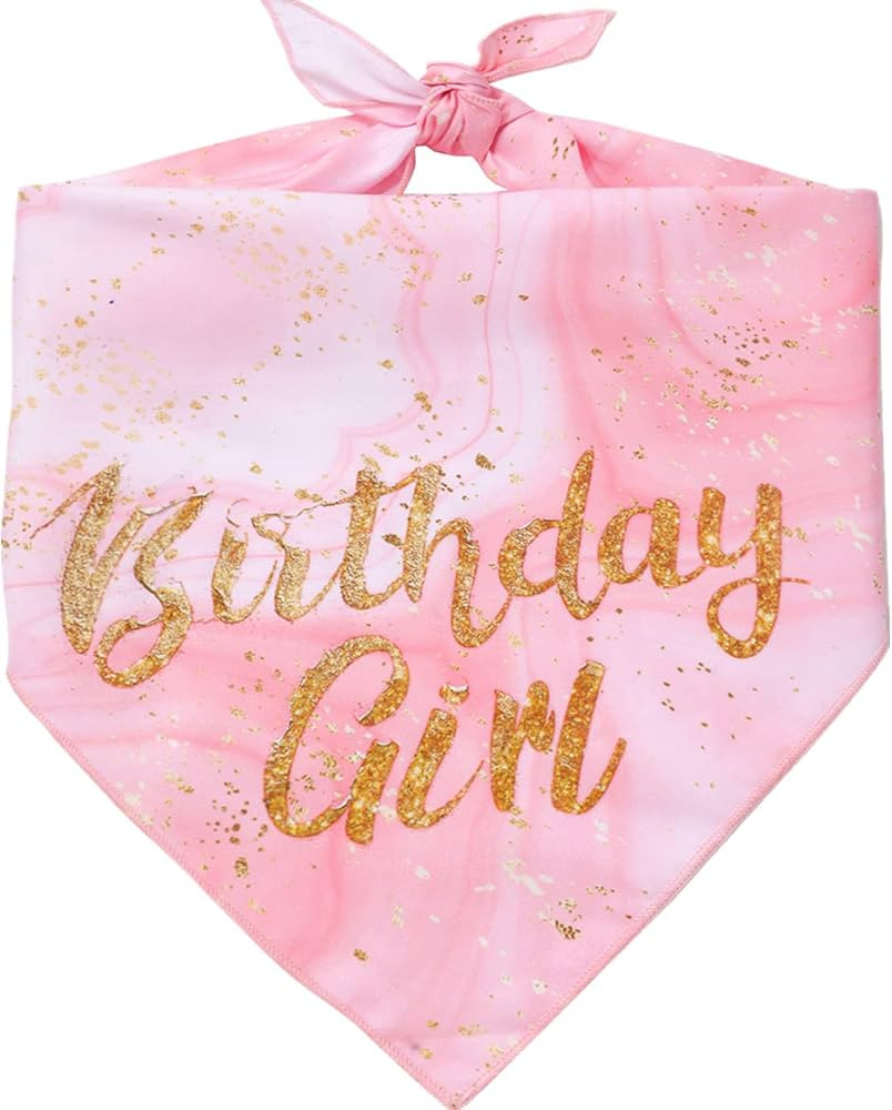 Girl Dog Birthday Bandana - Small Medium Dogs - Party Supplies | Amazon (US)