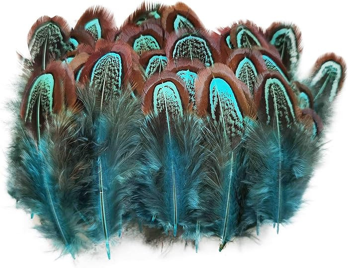 100 pcs Natural Pheasant Plumage Feathers 2-3 Inches Plumage Feathers for Sewing Crafts Clothing ... | Amazon (US)