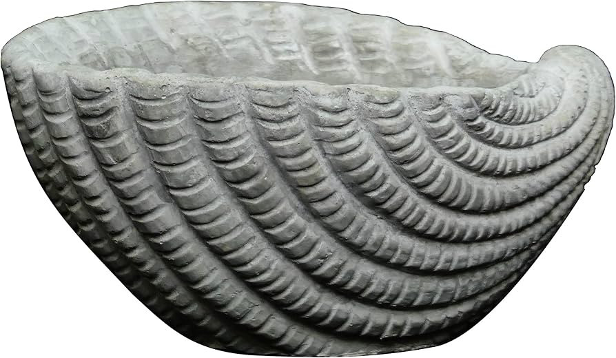 Classic Home and Garden Cement Seashell Planter, Cute Desk Decoration or Gift – Shell Planter w... | Amazon (US)