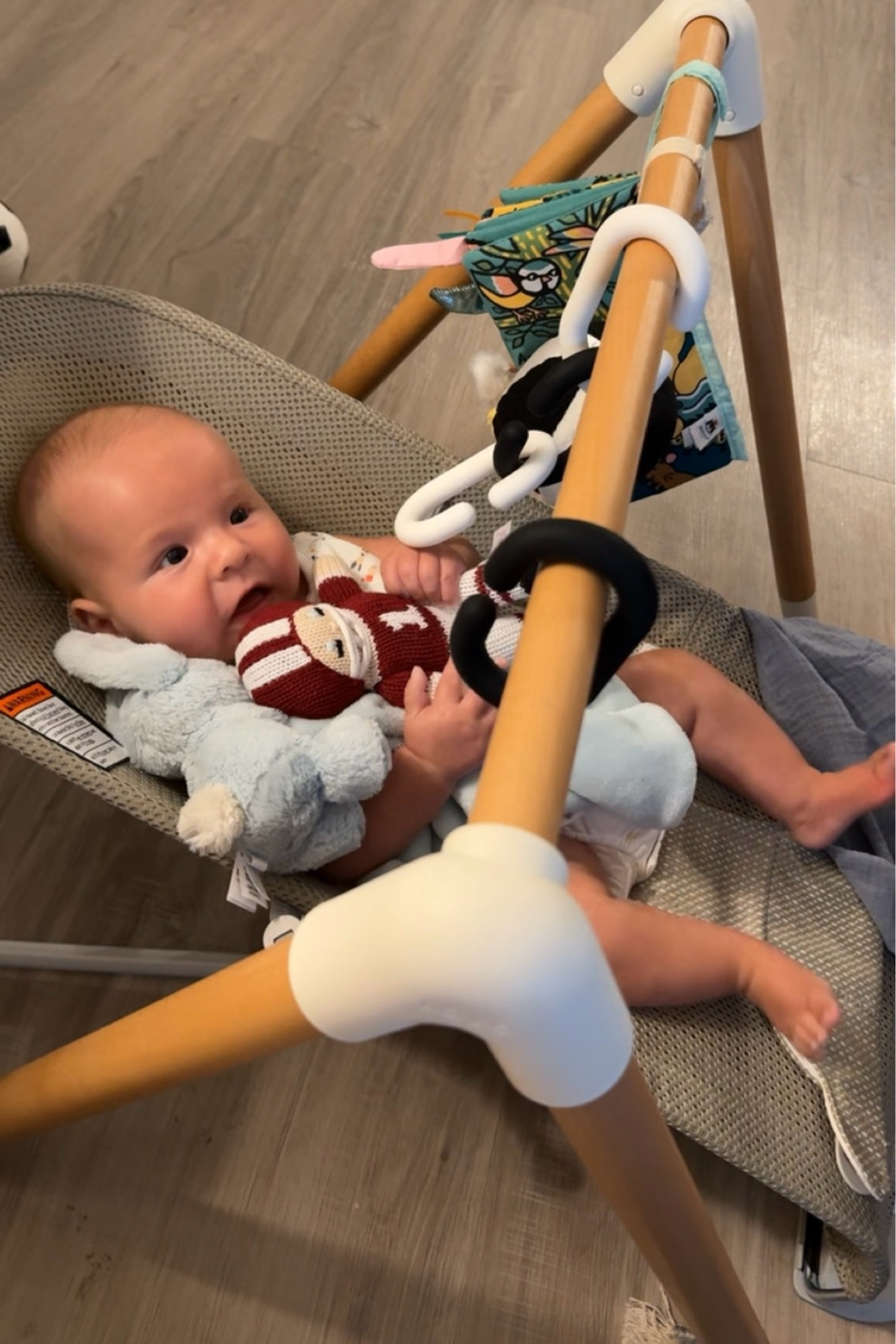 Baby- Favorite lalo piece that converts from playmat to bouncer and turns into a tent down the road 

#LTKBaby #LTKBump