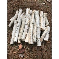 White Birch Branches, 21 Assorted Pieces Varying Is Length From 2 Inches To About 10, With Diameters | Etsy (US)