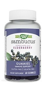 Nature's Way Sambucus Elderberry Gummies, With Vitamin C, Vitamin D and Zinc, Immune Support for ... | Amazon (US)
