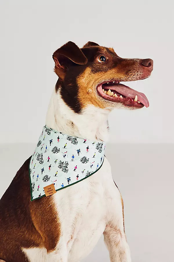 Holiday Dog Bandana | Anthropologie (US)