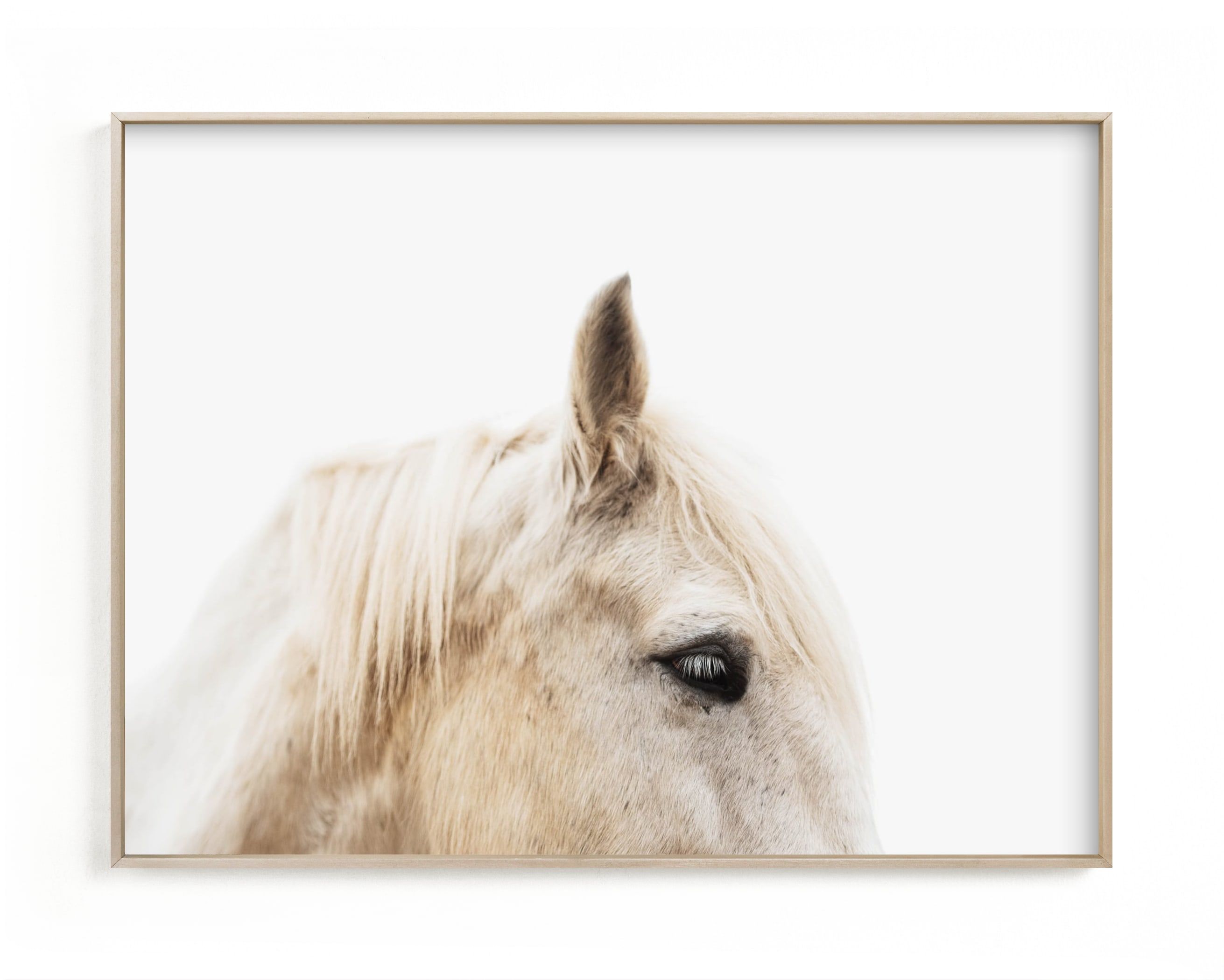 "Le Creme Cheval" - Photography Limited Edition Art Print by Amy Carroll. | Minted