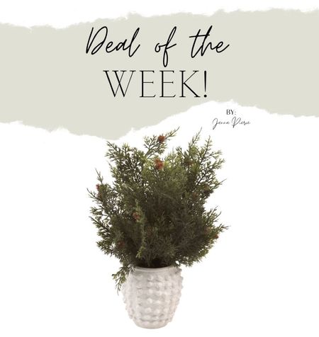 🚨 AMAZING DEAL 🚨on this holiday greenery arrangement! I love that it includes the textured vase that’s a dupe for the Minka pot from Anthropologie! #ltkhome #homedecor #holidaydecor #christmasdecor 

#LTKHoliday #LTKfindsunder50 #LTKhome