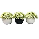 Faux Faux - Artificial Plants - Set of 3 -Fake Plants with Artificial Flowers for Home and Office De | Amazon (US)