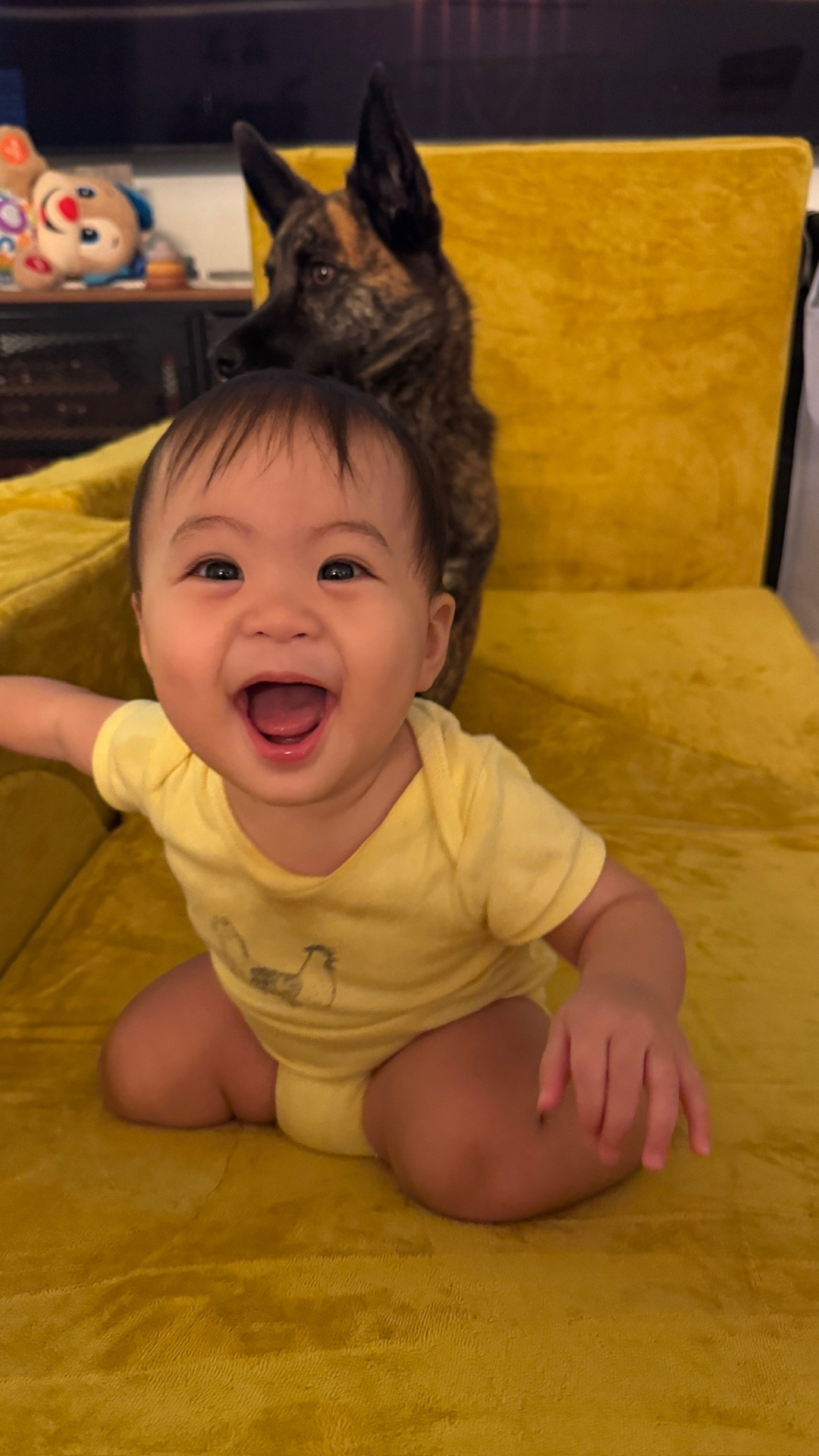 Baby boy loves to climb! This
modular play couch has been a huge hit in our house. Love the super soft material and the covers can be easily removed and are machine washable! 💛

#LTKKids #LTKBaby #LTKFamily