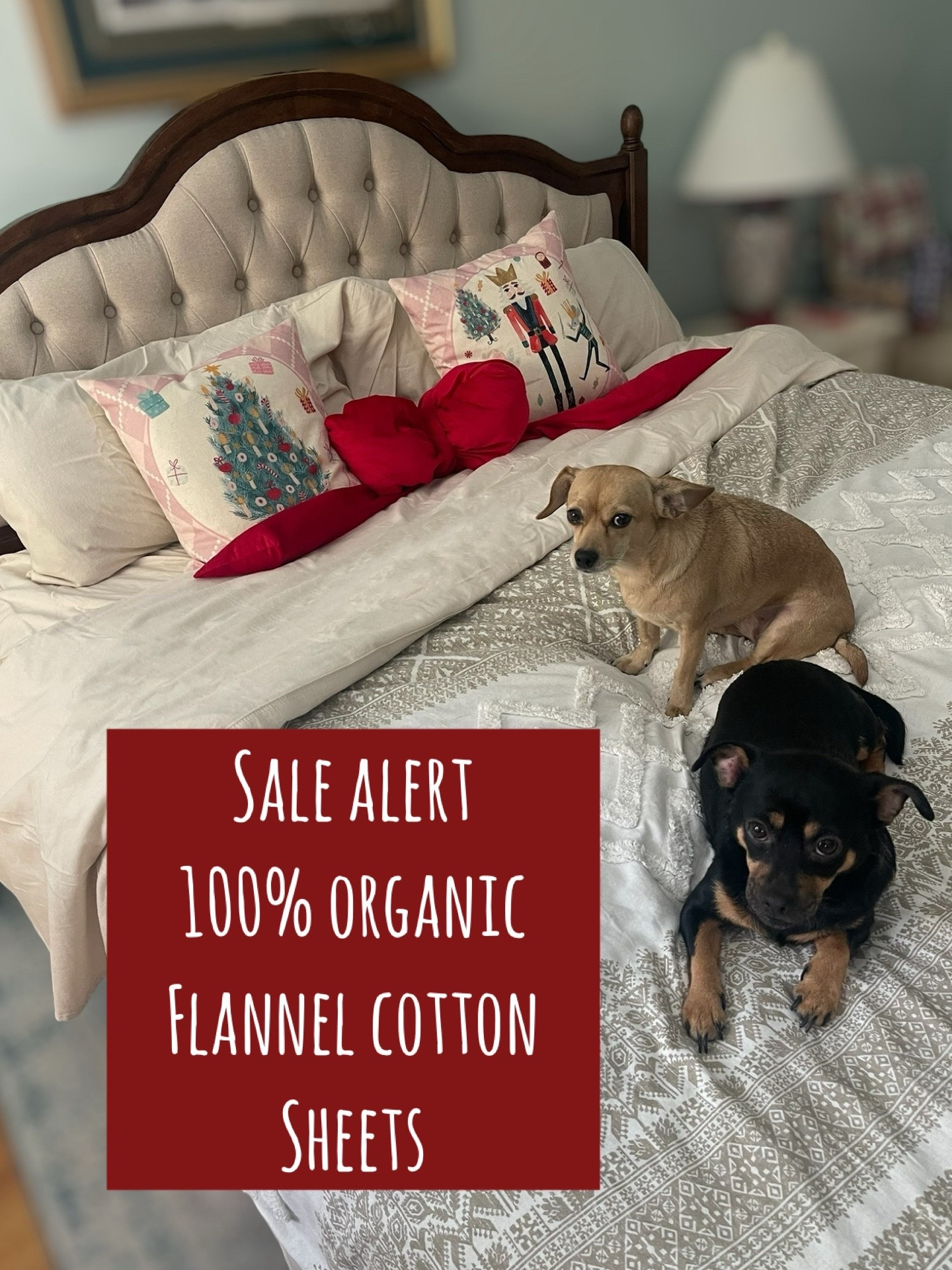 Coziest Organic Flannel Sheets for Winter ❄️🤍

These Organic Flannel Sheets from Bare Home are a winter bedding essential — unbelievably soft, breathable, and the perfect warm neutral for a festive holiday bedroom. I’m using the color Sand in King, and it’s even prettier in person! The fabric is 100% organic cotton, double-brushed for extra warmth and that cozy, cloud-soft feel. They wash beautifully, don’t pill, and make the whole bed feel like a luxury hotel (but warm and snuggly for the colder months 💤).

If you love swapping your bedding for the holidays, these are the perfect base layer under your Christmas pillows and throws. Organic, breathable, ultra-soft, and warm without overheating — truly the best flannel sheets I’ve tried! 🤍✨

holiday bedding • flannel sheets • organic cotton • cozy winter home • Christmas bedroom decor • breathable warm sheets • neutral bedding • Bare Home sheets • winter layers • neutral bedroom styling • Christmas pillows • affordable bedding upgrade • warm & cozy bedroom vibes

#LTKHoliday #LTKHome #LTKCyberWeek

#LTKCyberWeek #LTKFindsUnder100 #LTKHome