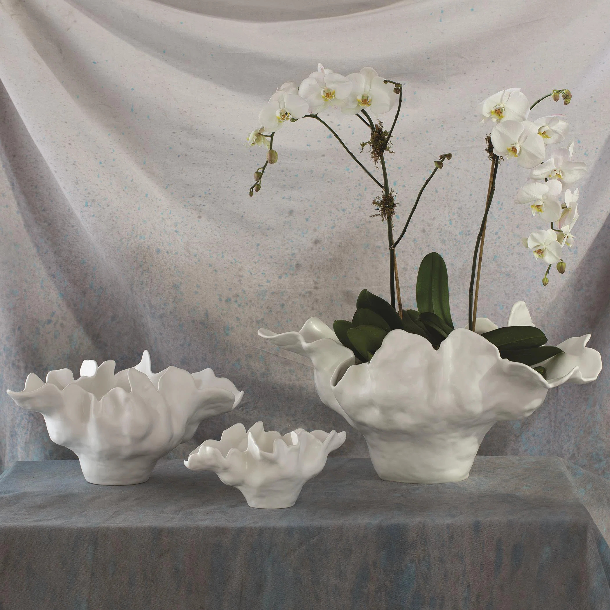 Meteor Bowl-Ivory | Wayfair North America