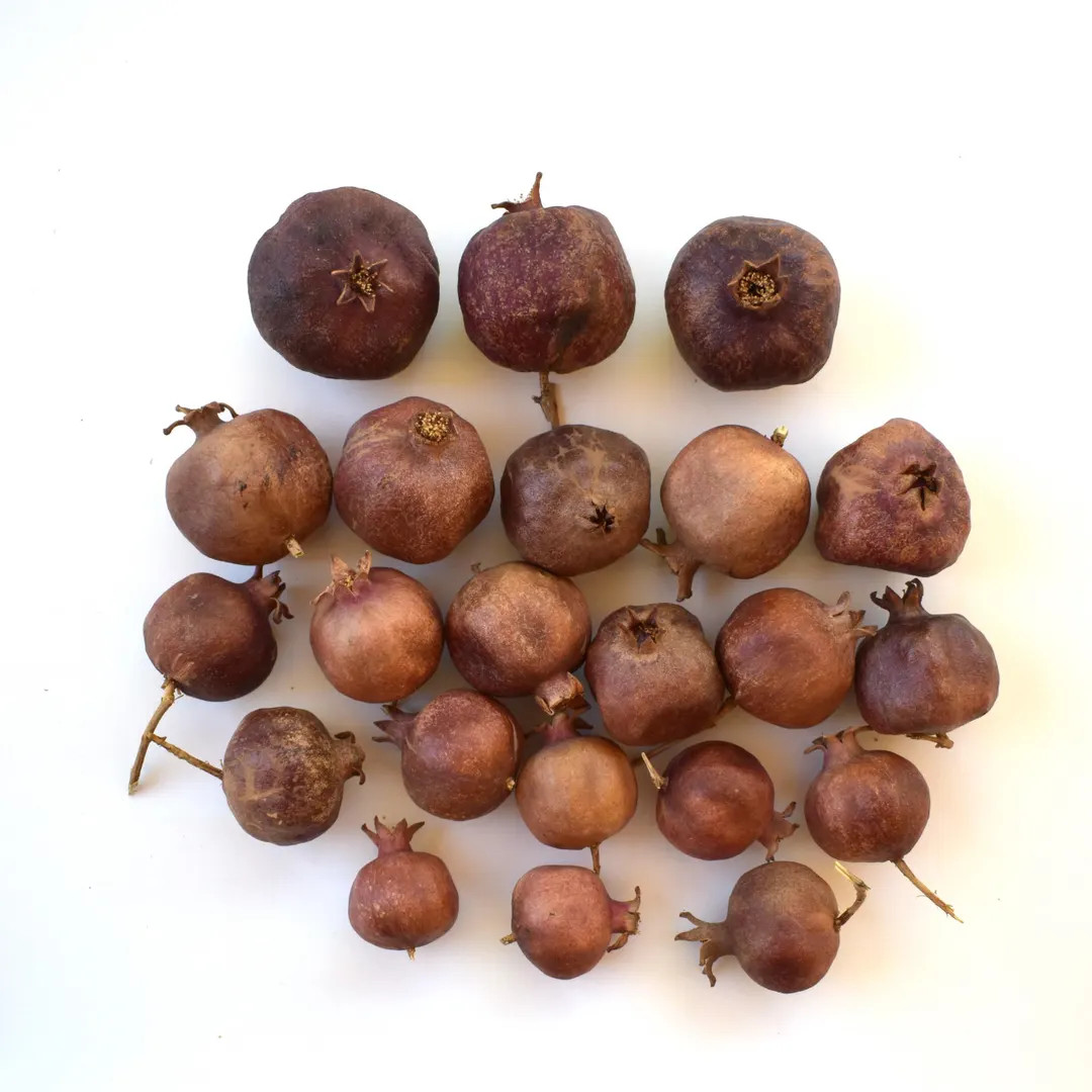 Dried Pomegranate Fruit for Bowl Fillers Floral Arrangements Garland Wreath Natural Seasonal Deco... | Etsy (US)