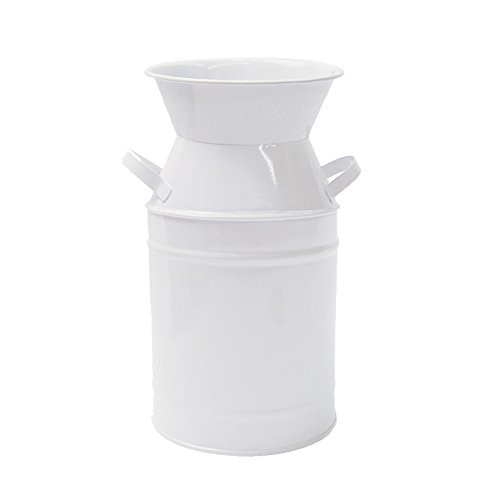 Watering Honey Elegant White 7.5 inch Small French Style Country Rustic Primitive Jug Vase Galvanize | Amazon (US)
