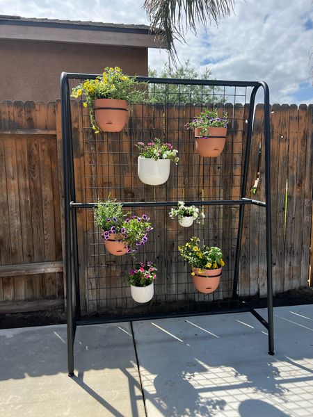 Plant wall + planters 