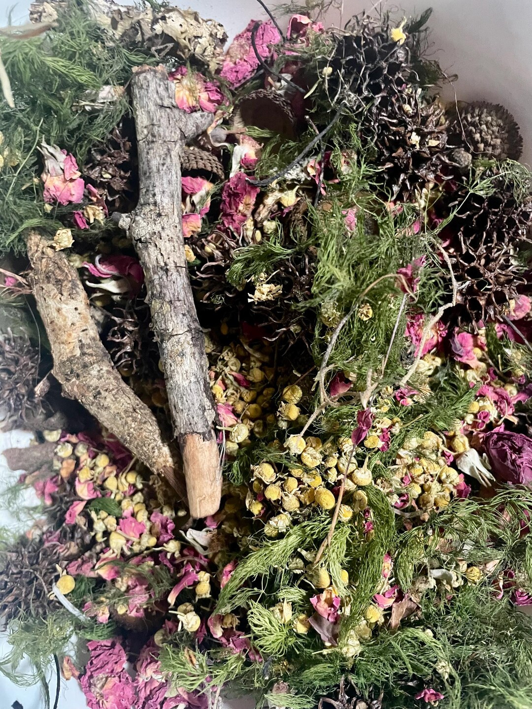 Hornwort Harvest | Hermit Crab Foraging - Etsy | Etsy (US)