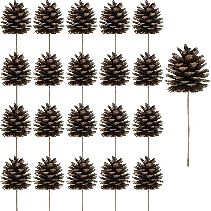 Winlyn 20 Pcs Natural Pine Cone Picks Christmas Pinecone Sprays Pinecones Ornaments with Wired St... | Amazon (US)