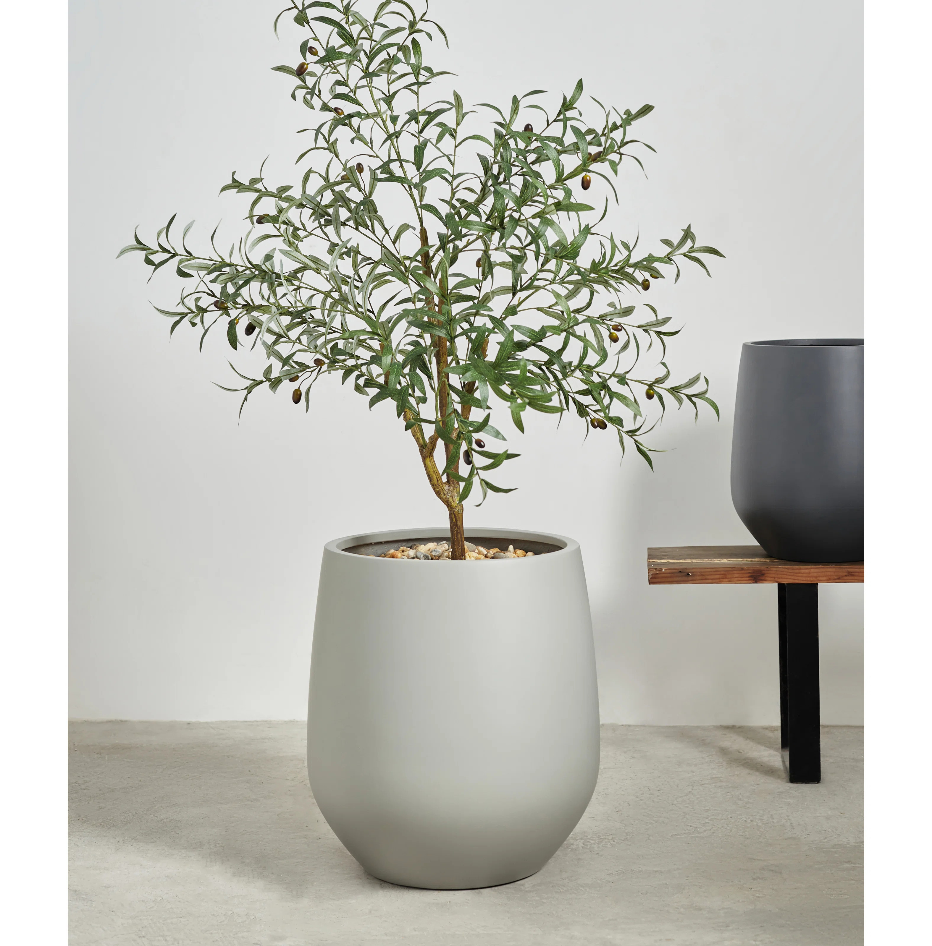 Fion Pot Planter | Wayfair North America