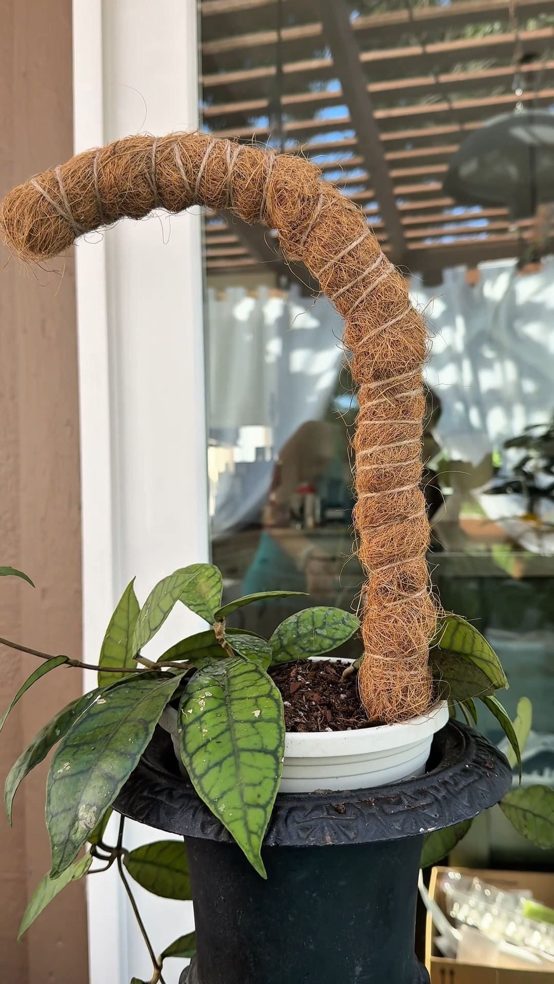 #LTKSeasonal #LTKOver40 #LTKHome