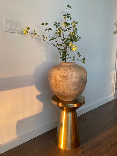 Amazon Home Decor and more

Lost of antique and rustic looking vases. Also, found some great faux greenery stems



#LTKfindsunder50 #LTKhome #LTKfindsunder100