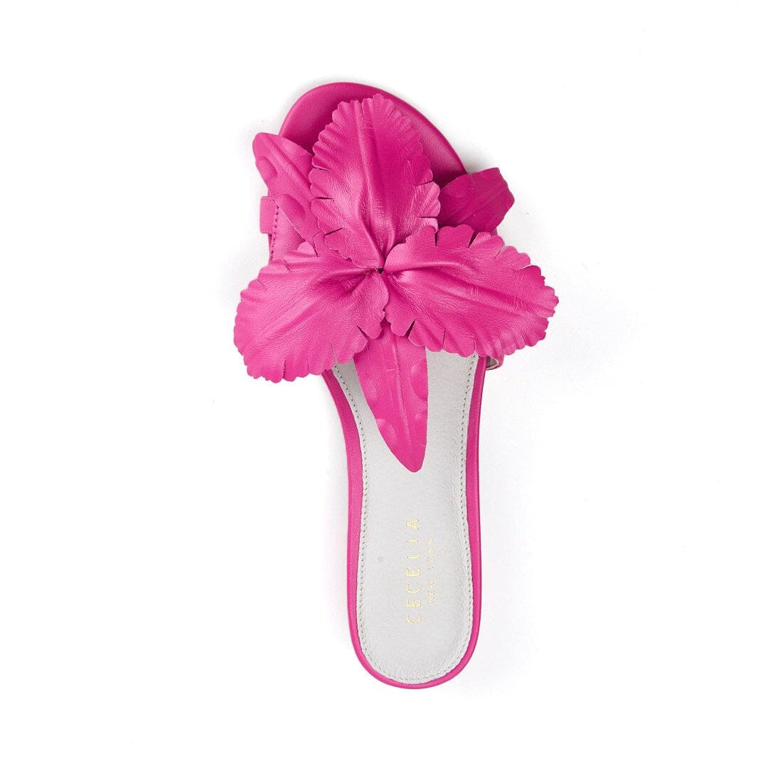 LILA | Cecelia New York