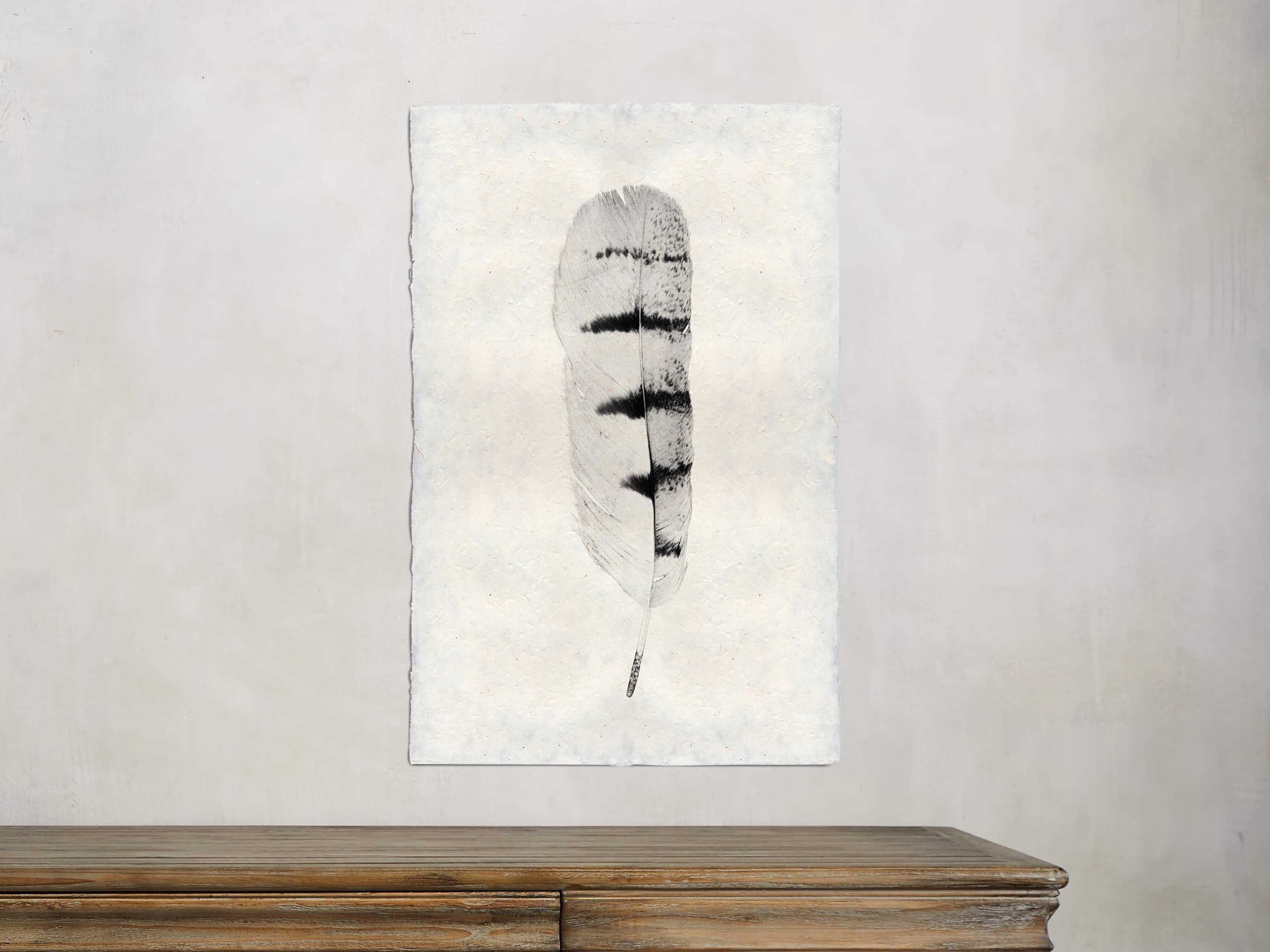 Feather Study Print VIII | Arhaus