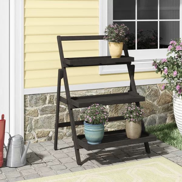 Fenimore Rectangular Multi-Tiered Acacia Plant Stand | Wayfair North America