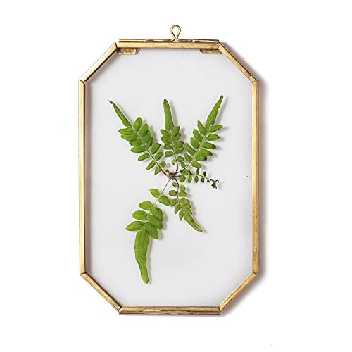 NCYP Glass Floating Frame, Gold Octagon Wall Decor Brass Hanging Frame for Display Pressed Plant ... | Amazon (CA)