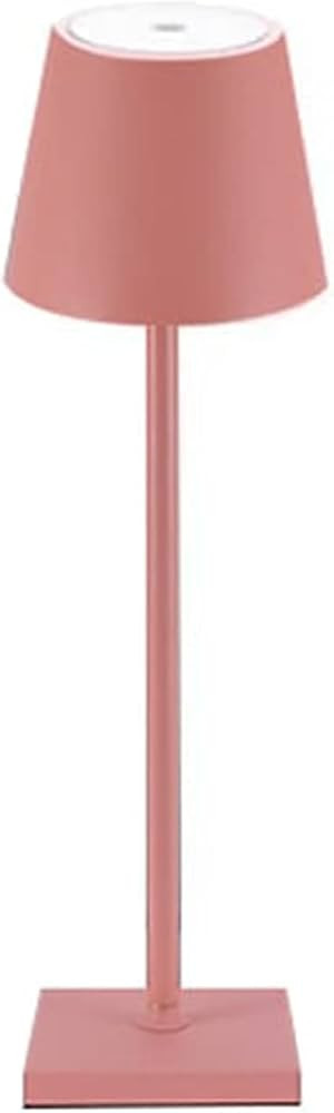 FROATS 15 inch Cordless Table Lamp USB Rechargeable Portable Table Light 3.5W Desk Lamp Dimming L... | Amazon (US)