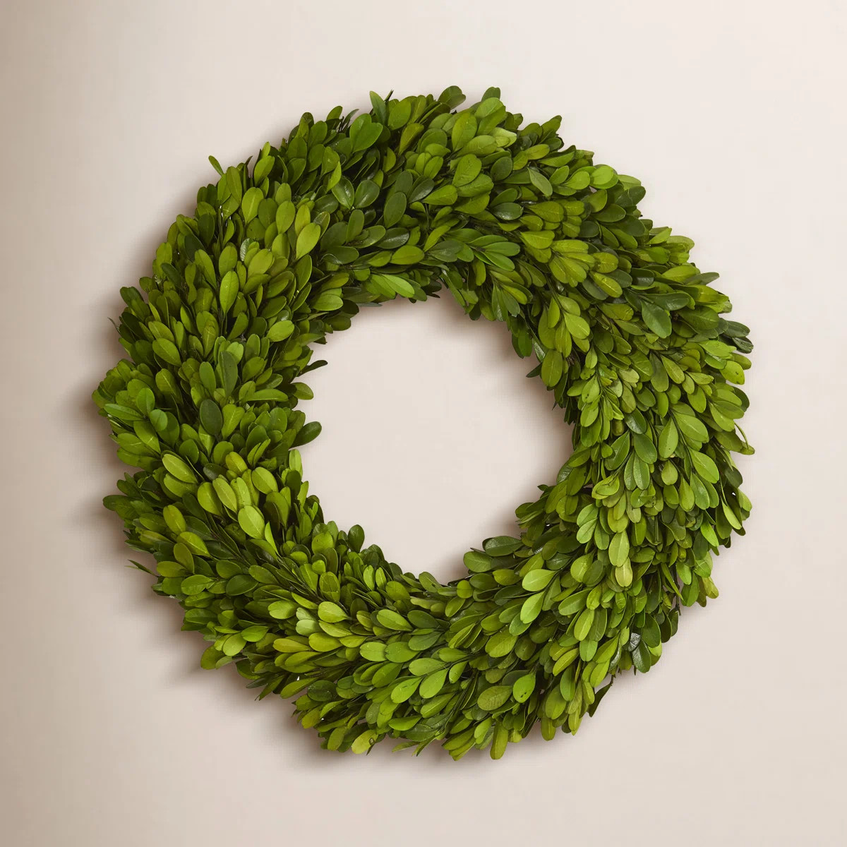 Preserved Boxwood Wreath | Birch Lane