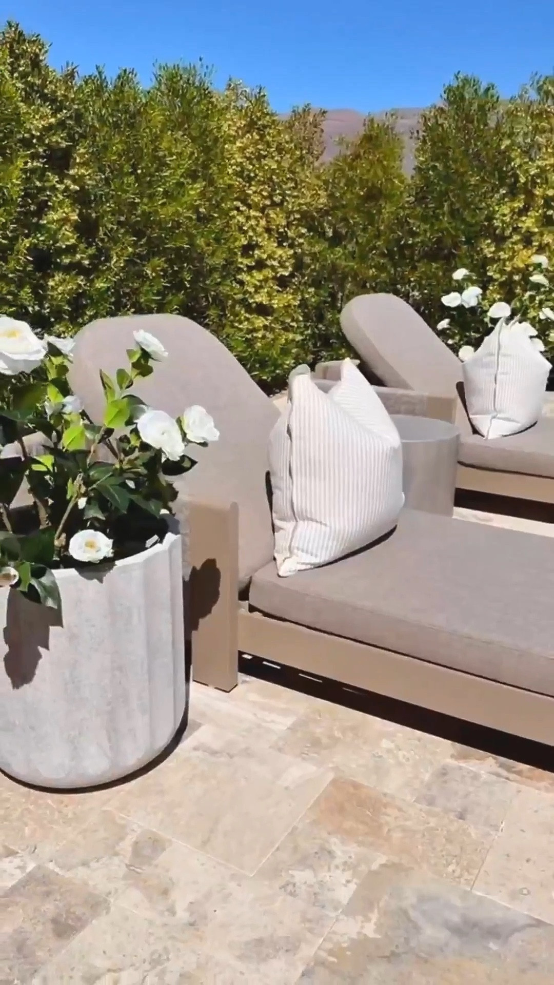 These chaise lounges + faux stone planters + faux flower trees + and umbrella are GORGEOUS! Seriously.. I’m picky and I’m in LOVE! It’s giving relaxed resort vibes at home 🤍☀️

This has been my favorite spot the last few days 🤍

outdoor chaise lounge
faux stone planters
faux floral trees
scalloped umbrella outdoor
designer inspired patio
resort style outdoor space
amazon outdoor decor 
spring home decor 


#summerthompsonstyles 


#LTKU #LTKSwim #LTKHome