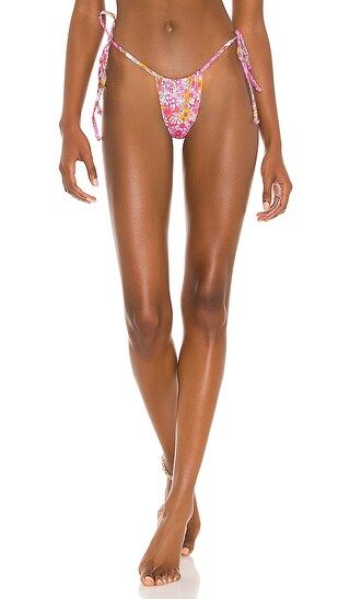 Tia Bikini Bottom in Sweet Pea | Revolve Clothing (Global)