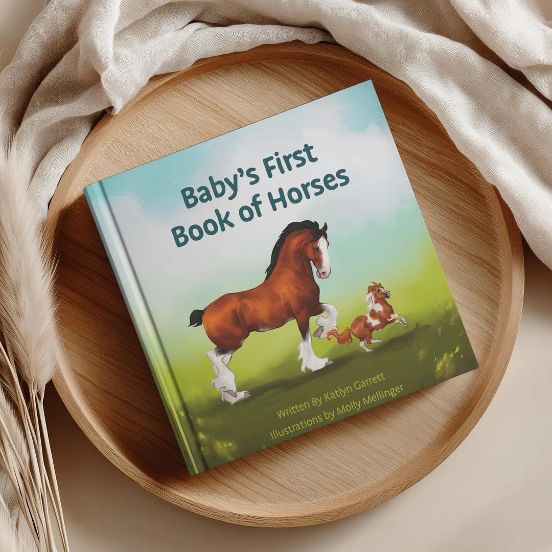 Baby's First Book of Horses - Etsy | Etsy (Global)