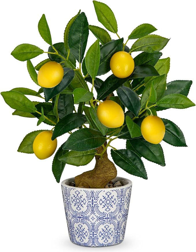 Artificial Potted Plants, 15.7 inches Small Fake Lemon Tree Artificial Lemons Citrus Tree with Bl... | Amazon (US)