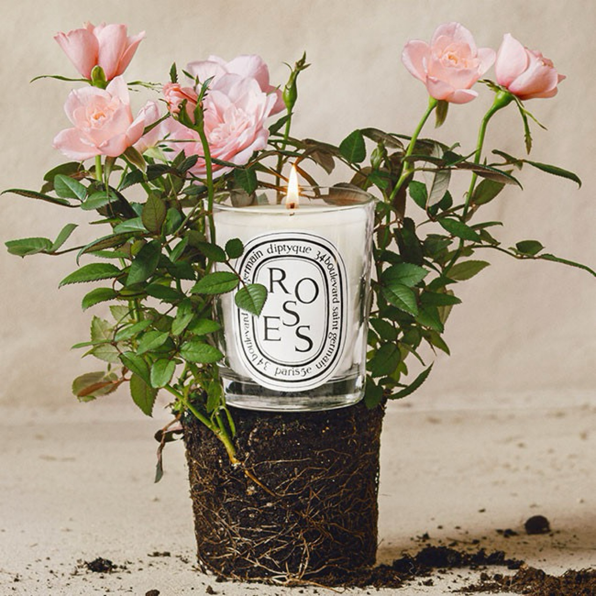 Mother’s Day Gift Idea 💫
#rosecandle #diptyqueparis

#LTKGiftGuide