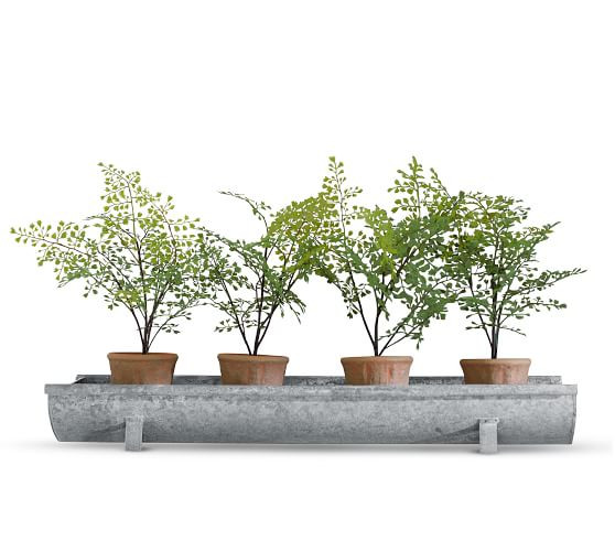 Faux Potted Mini Southern Maiden Hair Fern Houseplant | Pottery Barn (US)