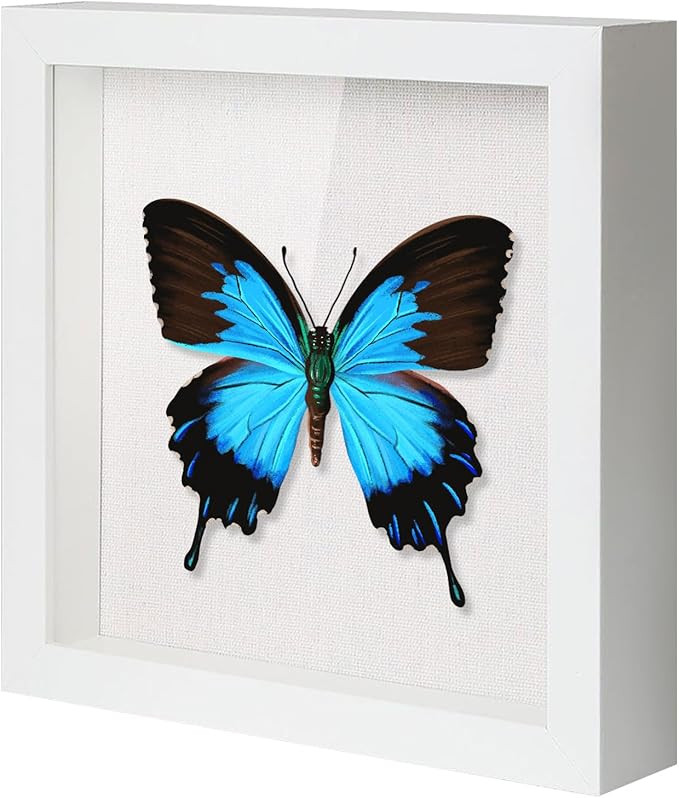 QDSSDECO 12x12 Shadow Box Frame with Linen Backboard & Real Glass, Wood Display Case, Deep Showca... | Amazon (US)