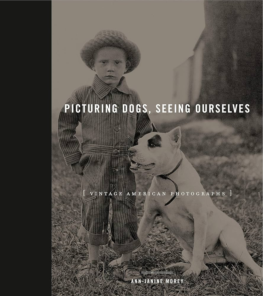 Picturing Dogs, Seeing Ourselves: Vintage American Photographs (Animalibus: Of Animals and Cultur... | Amazon (US)