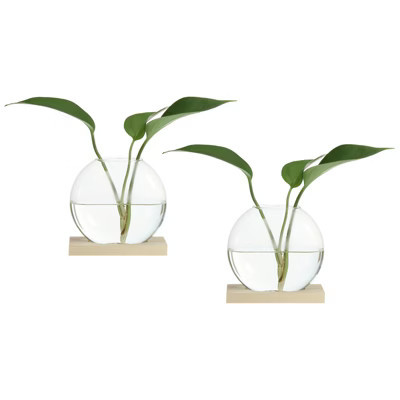Unique Bargains Wooden Stand Hydroponic Collectible Glass Terrarium 2 Pcs Brown | Target