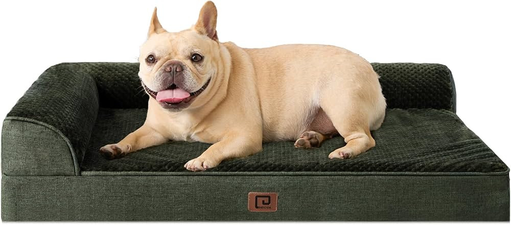 EHEYCIGA Memory Foam Dog Beds for Medium Dogs, Orthopedic Medium Dog Beds, Waterproof Egg Crate D... | Amazon (US)