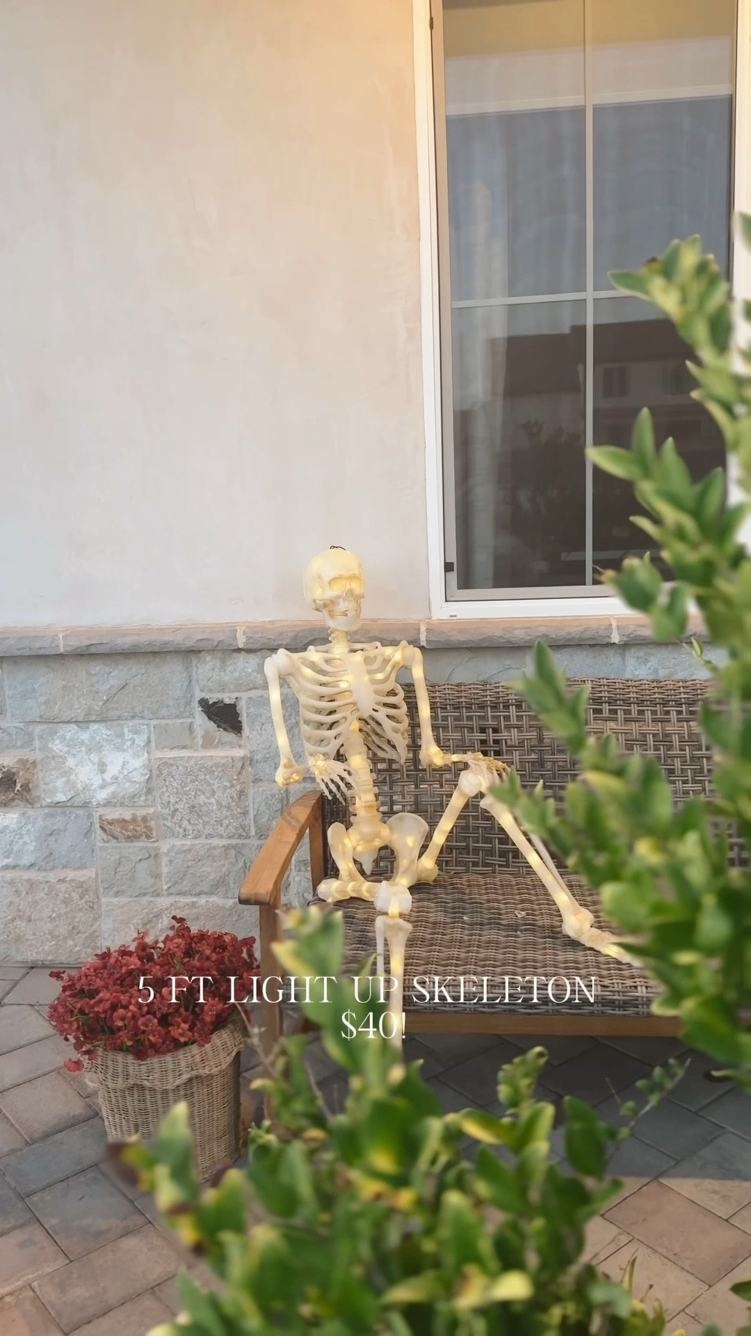 Can’t get over this light up skeleton! And can’t beat this price!!! 

#LTKSeasonal #LTKHome #LTKFamily