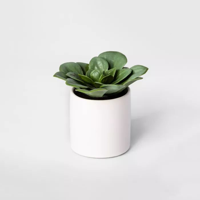 4.5" x 4" Artificial Dudleya Succulent In Pot White - Project 62™ | Target