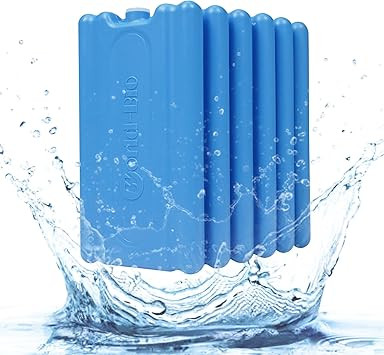 WORLD-BIO Blue 6 Pack Reusable Freezer Meal Holder with Leakproof Insulation | Amazon (US)