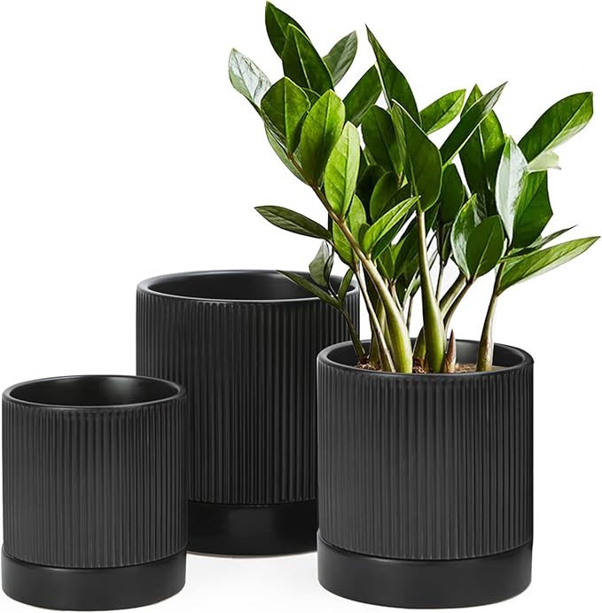 LaDoVita 3 Pack Ceramic Plant Pots 6/5/4 inch, Flowerpot for Indoor Plants with Drainage Holes an... | Amazon (US)