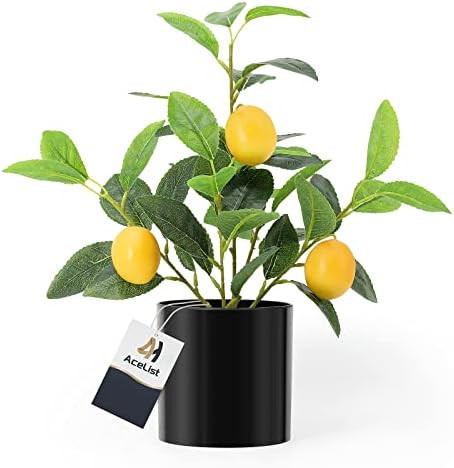 Artificial Mini Lemon Tree Potted Plants, 14.6 Inches Realistic Fake Plant Lemon Decor for Kitche... | Amazon (US)