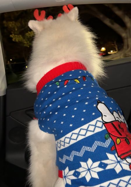 Cutest dog holiday sweater snoopy 

#LTKSeasonal #LTKGiftGuide #LTKHoliday