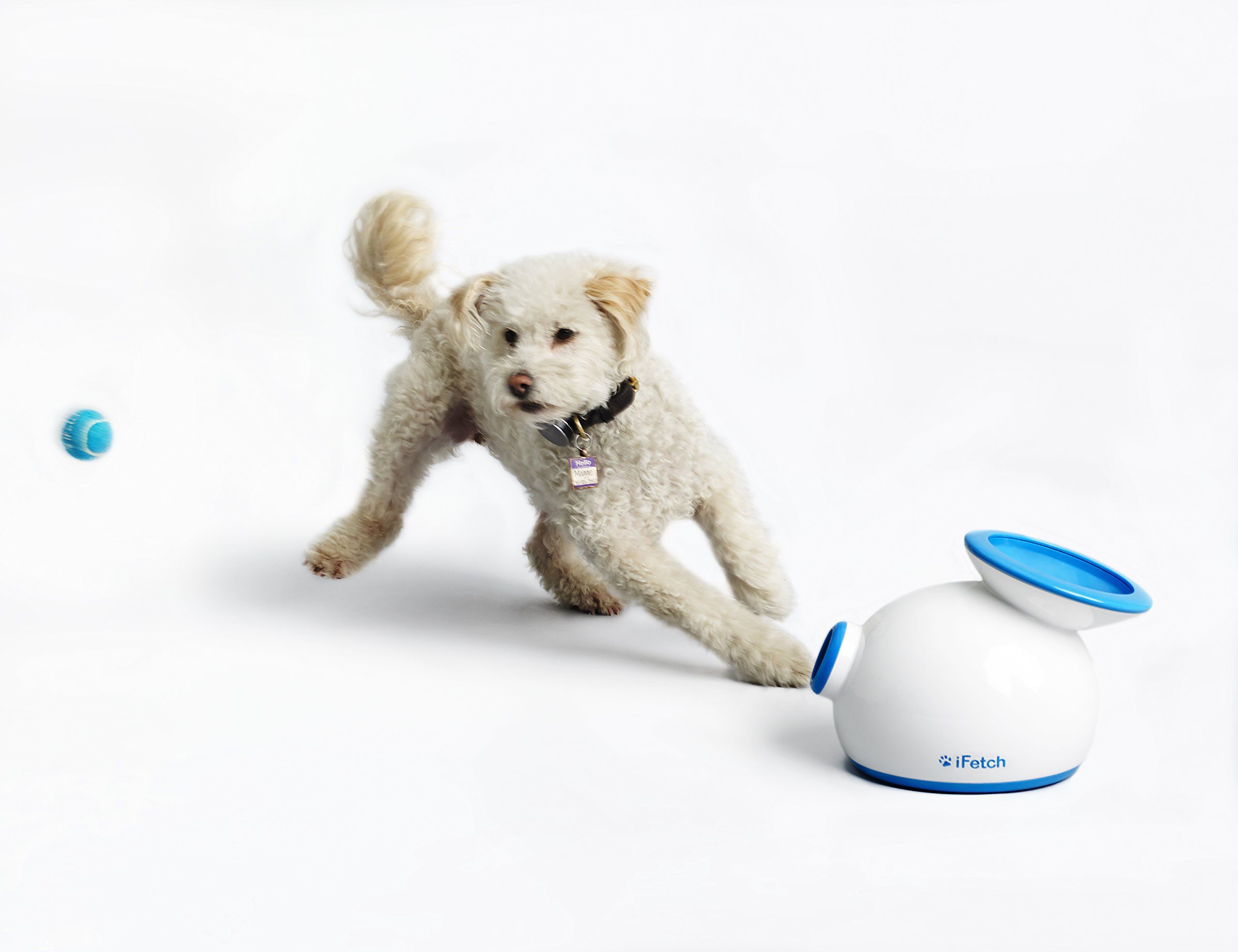 iFetch Interactive Ball Launchers for Dogs | Amazon (US)