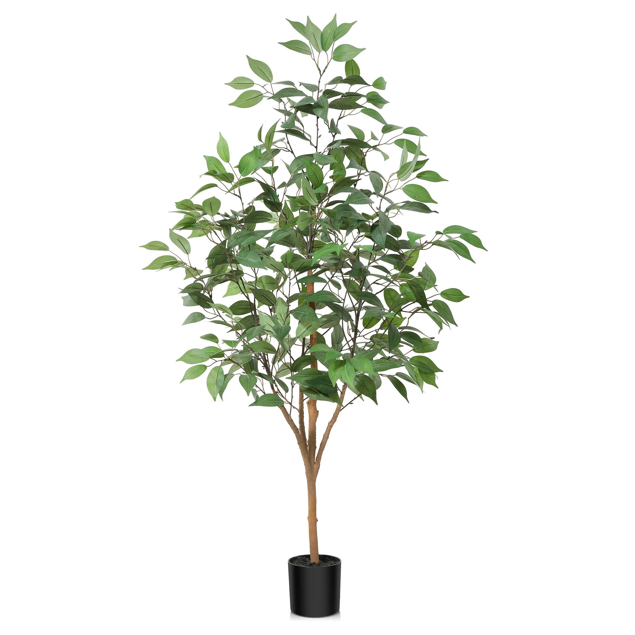 Primrue Adcock Faux Ficus Tree in Pot with Realistic Leaves and Natural Trunk & Reviews | Wayfair | Wayfair North America