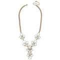 Click for more info about Flora Frost Necklace