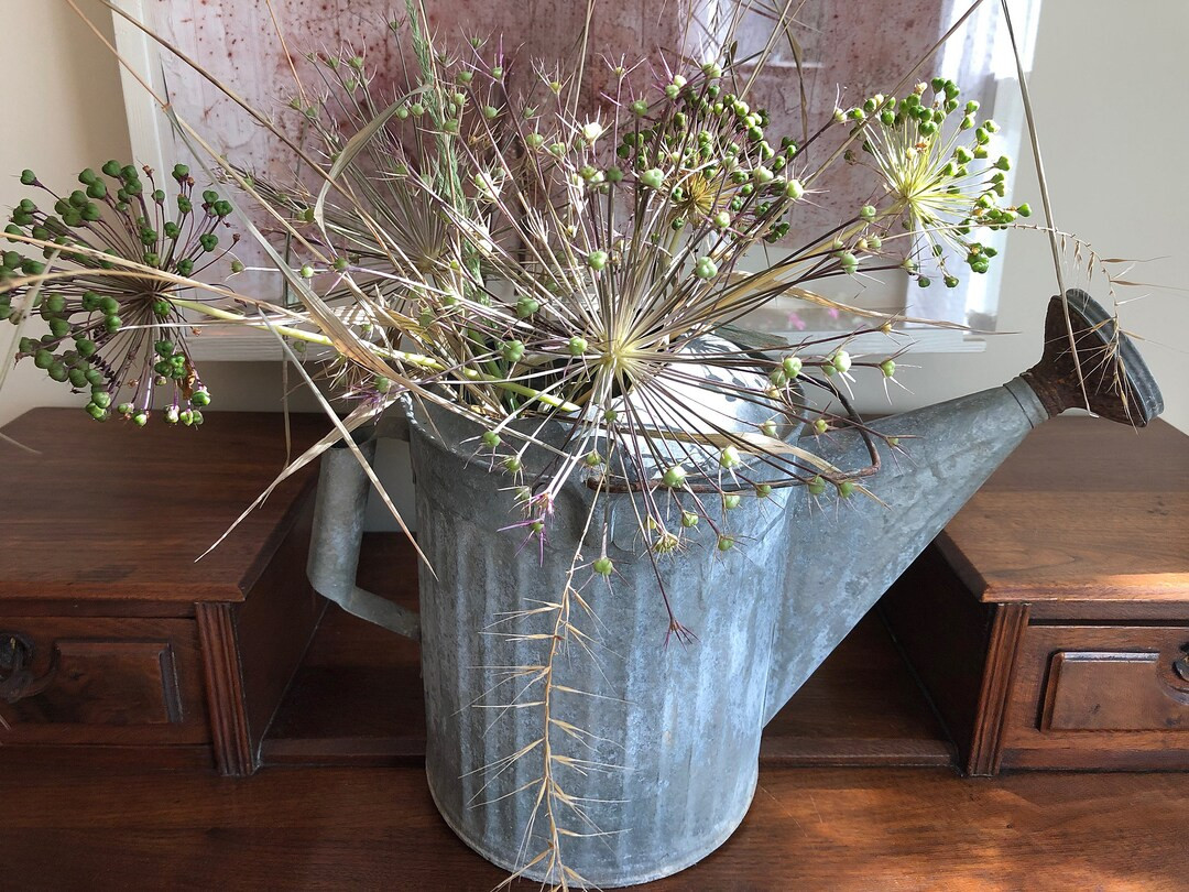 Antique Galvanized Steel Garden Watering Can, circa 1930s-40s | Etsy (US)
