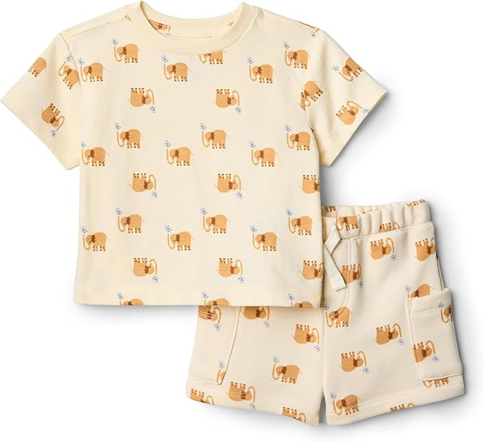 Amazon Essentials x Sofia Grainge Toddlers and Baby Boys' Regular Fit T-Shirt and Short Set | Amazon (US)