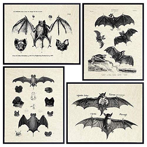 Bats Wall Decor - Vintage Retro Hipster Goth Art, Home or Room Decoration - Gift for Gothic, Horr... | Amazon (US)