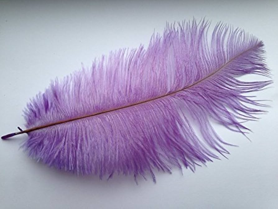 Trimming Shop Real Ostrich Feathers - Showgirl Spadones - for Decoration Costumes, Headdresses, W... | Amazon (DE)